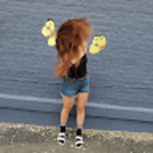 Meet your Posher, Ginger